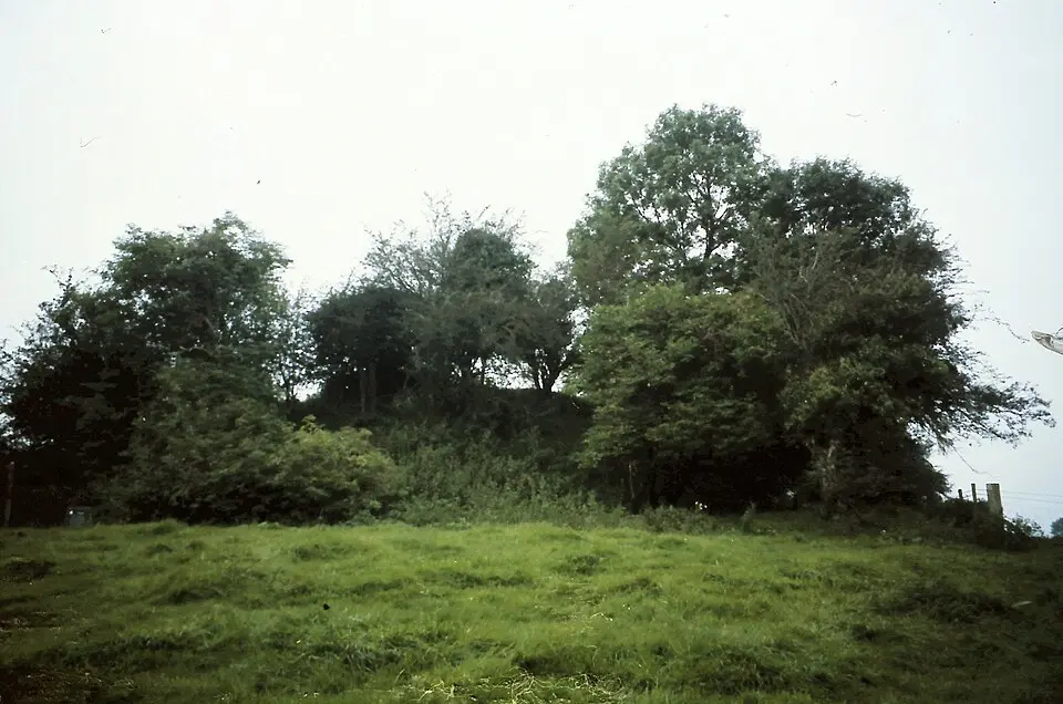Castleruddery Motte