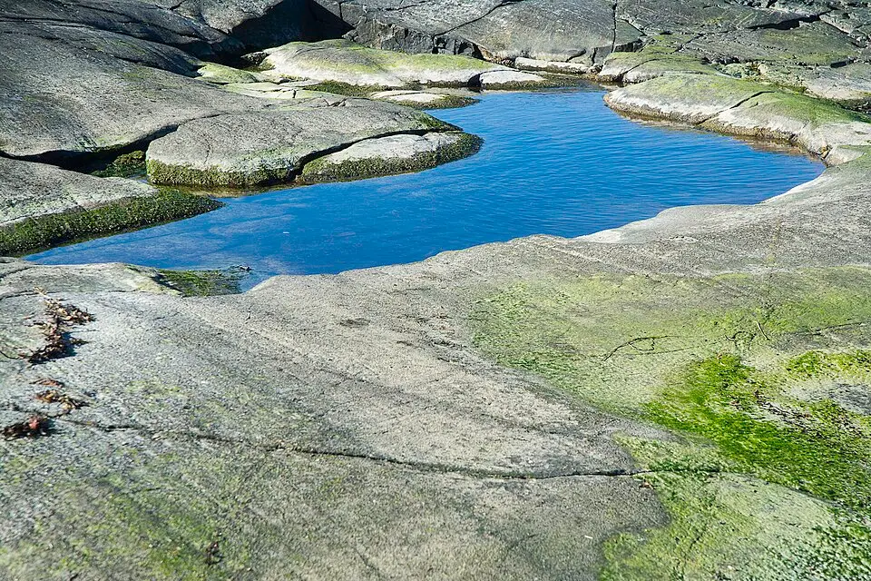 Svängehallar-Fjärehals
