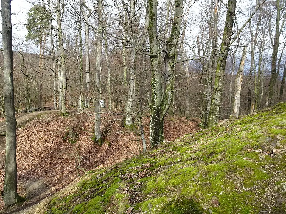 Neštich