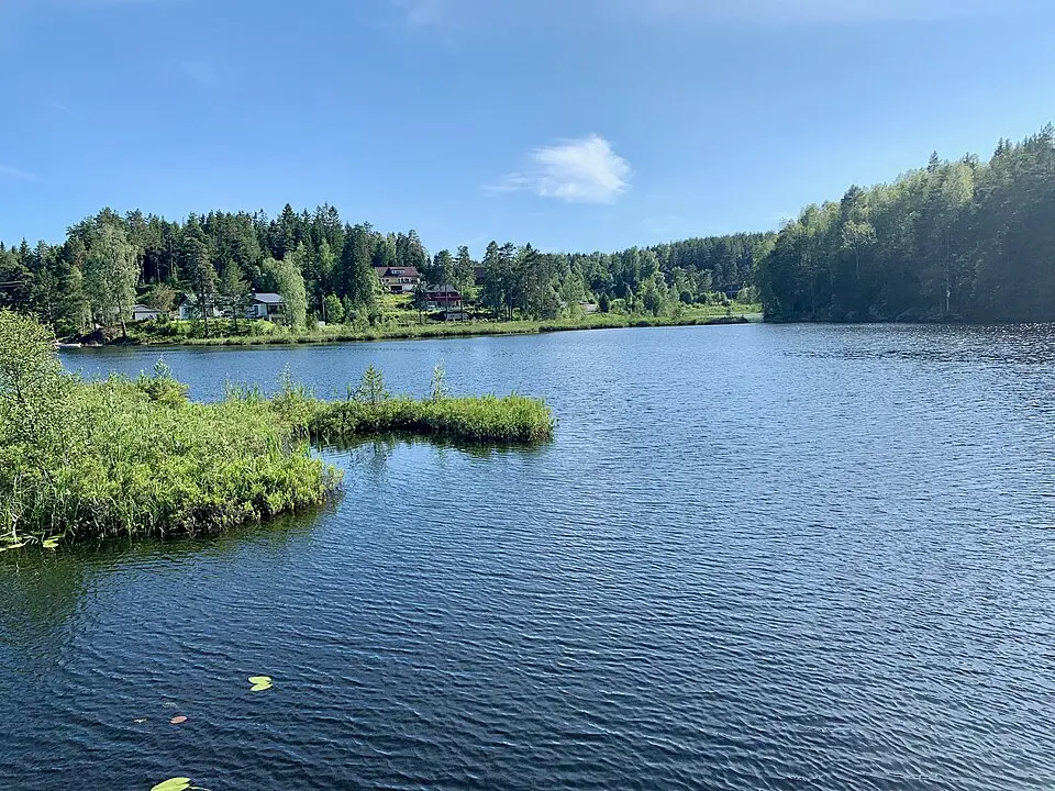 Sværsvann