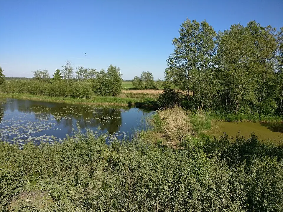 Parc naturel de la plaine inondable de la Svēte