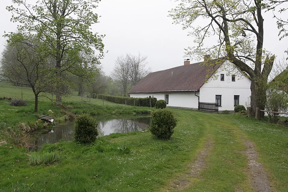 Světlá