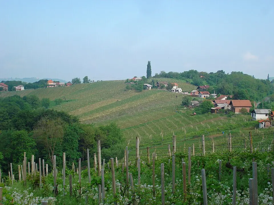 Sveti Urban