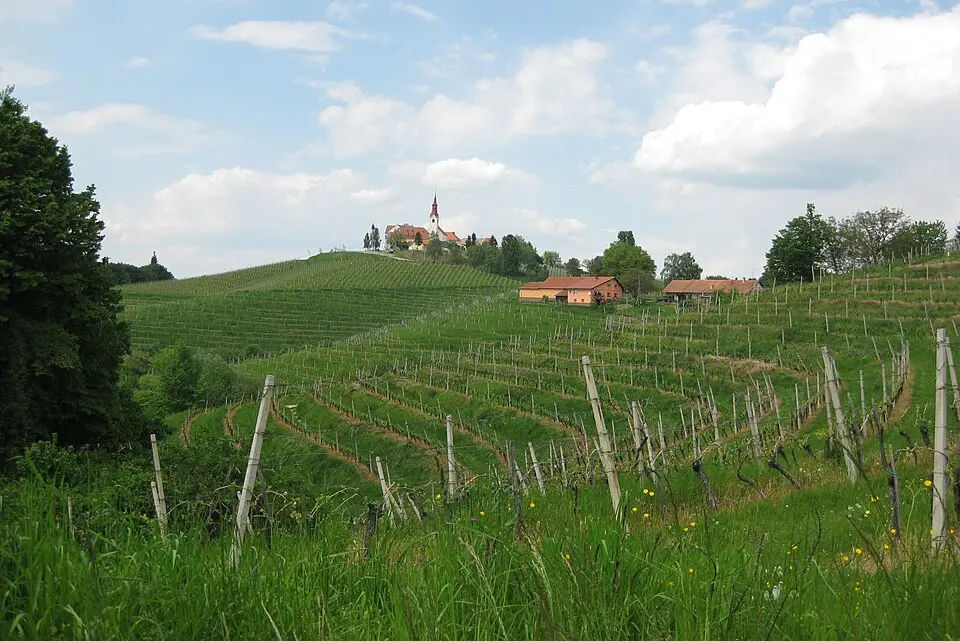 Ormož