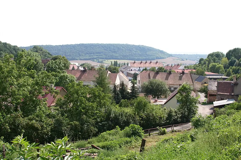 Svinčice