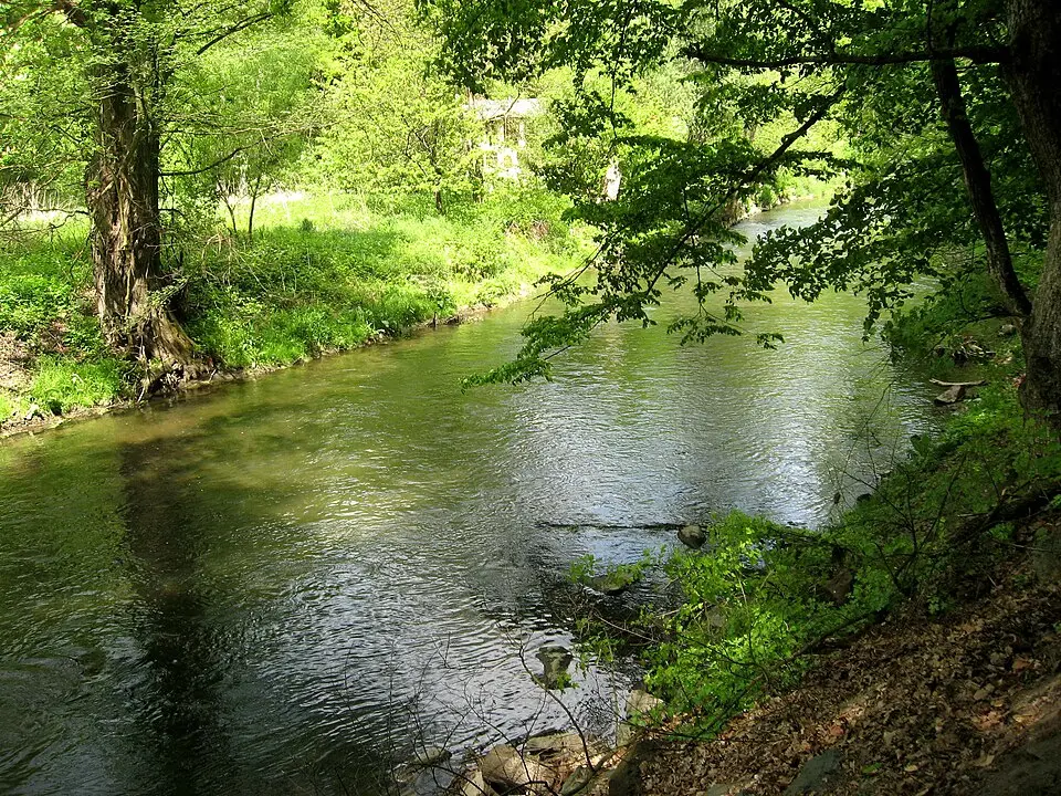 Svitava