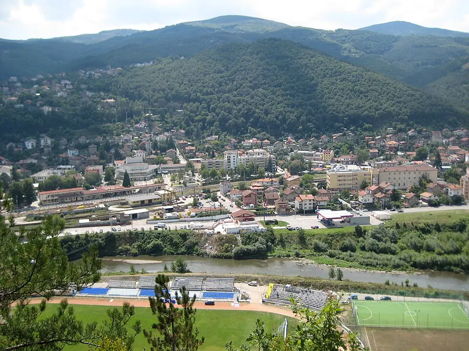 Svoge