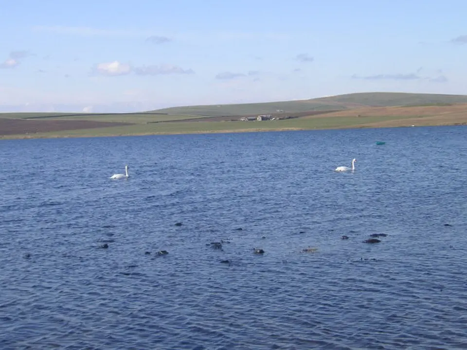 Brodgar RSPB Reserve
