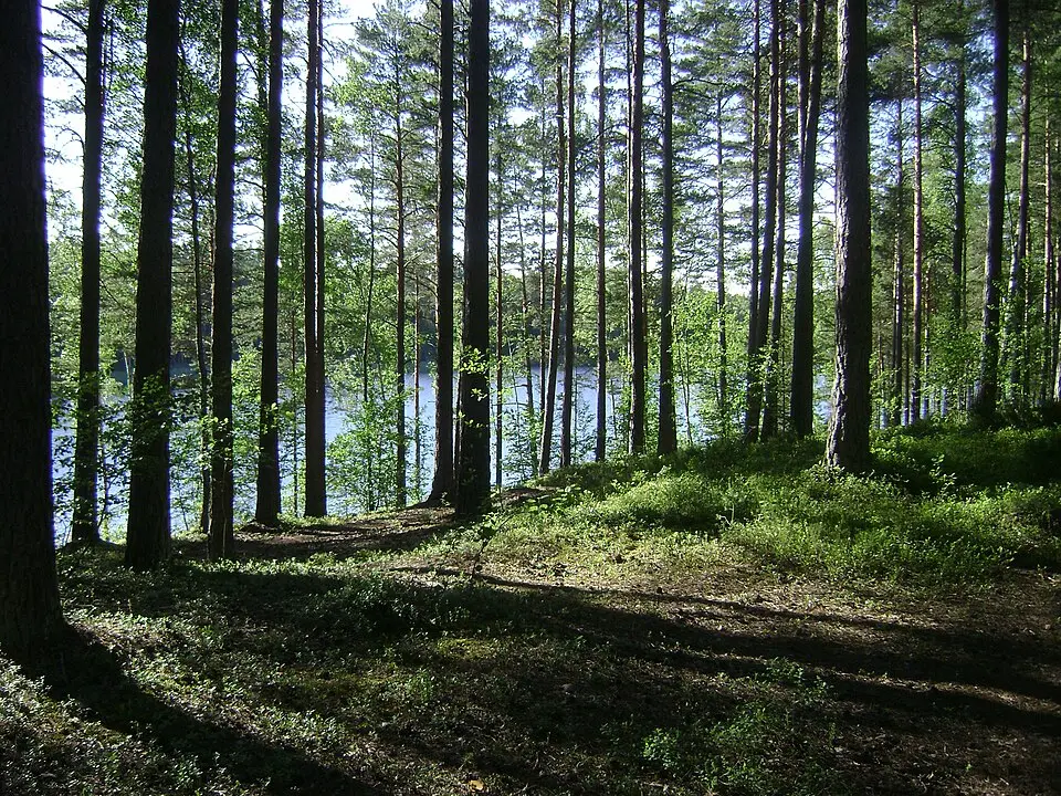 Rudans naturreservat