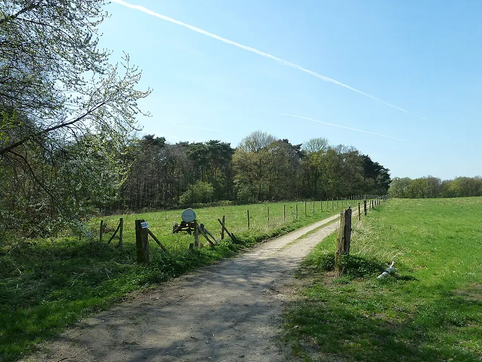 flint sites and traces of habitation in Stammenderbos