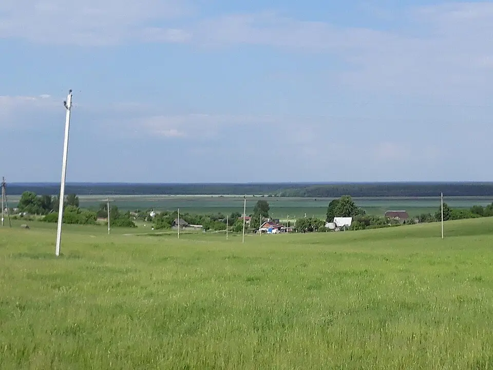 Чарты