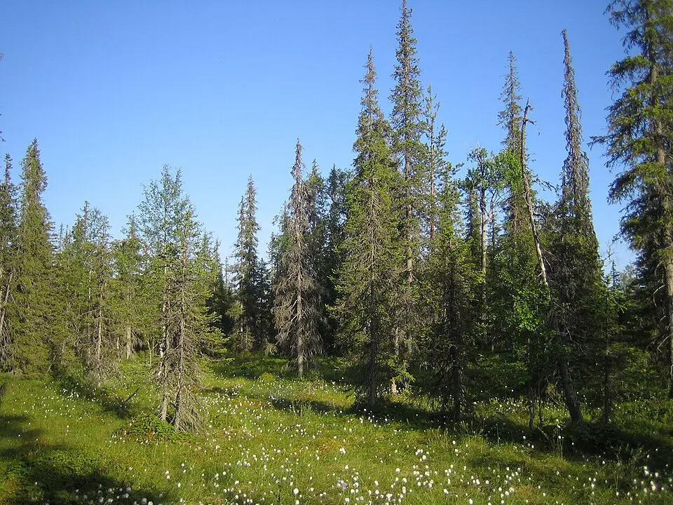 Syötteen kansallispuisto