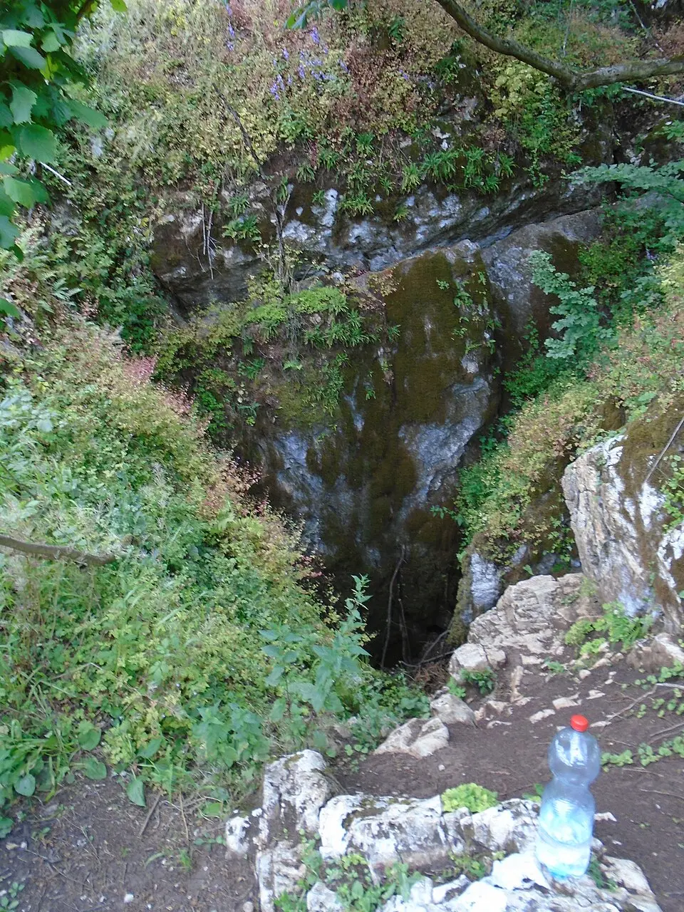 Szabó-pallagi-zsomboly