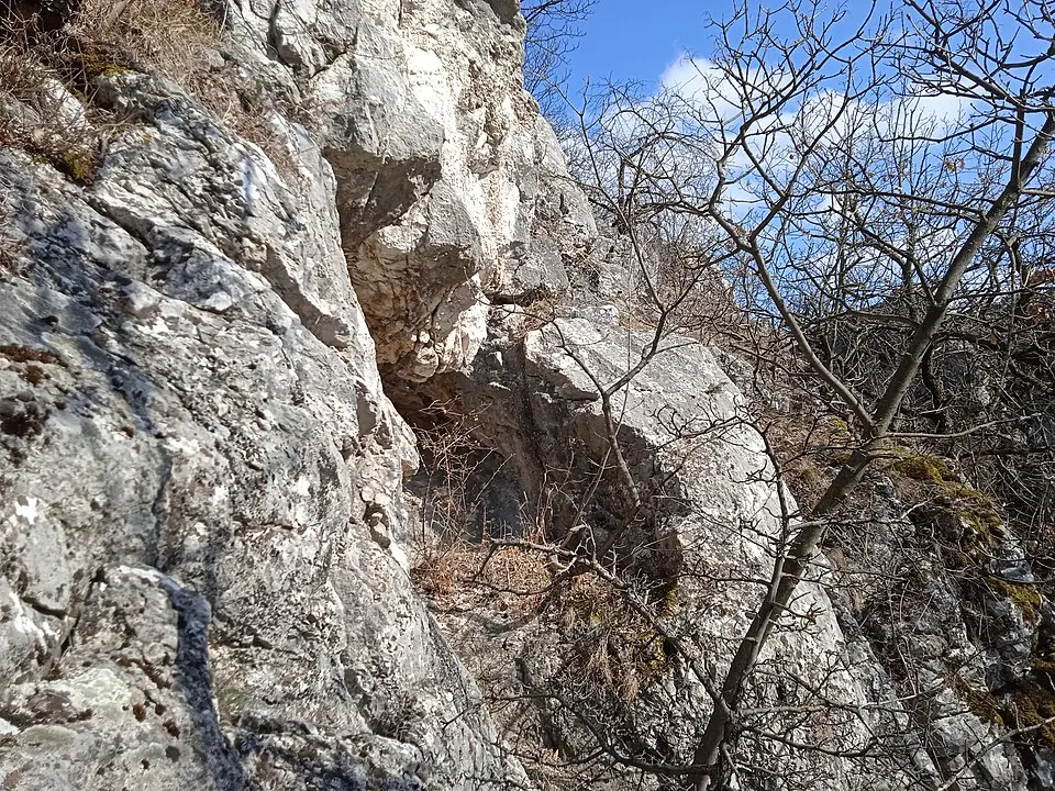 Szárazrózsa-kőfülke