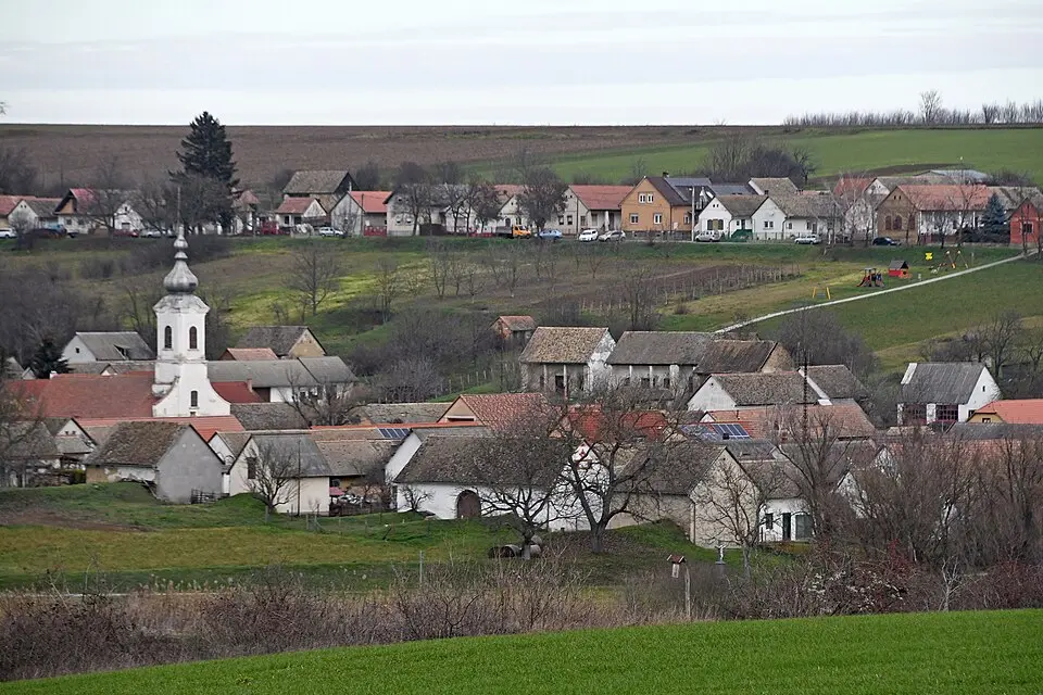 Szűr