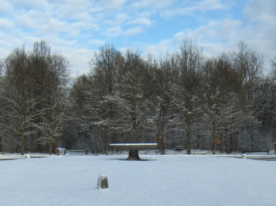 Chantilly Forest