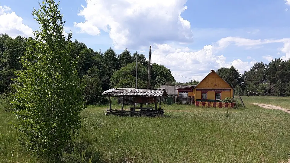 Таўстыкі