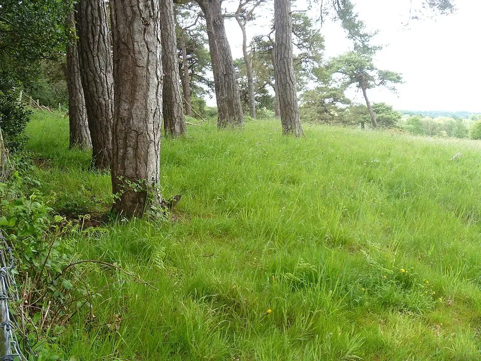 Tadnoll Barrow
