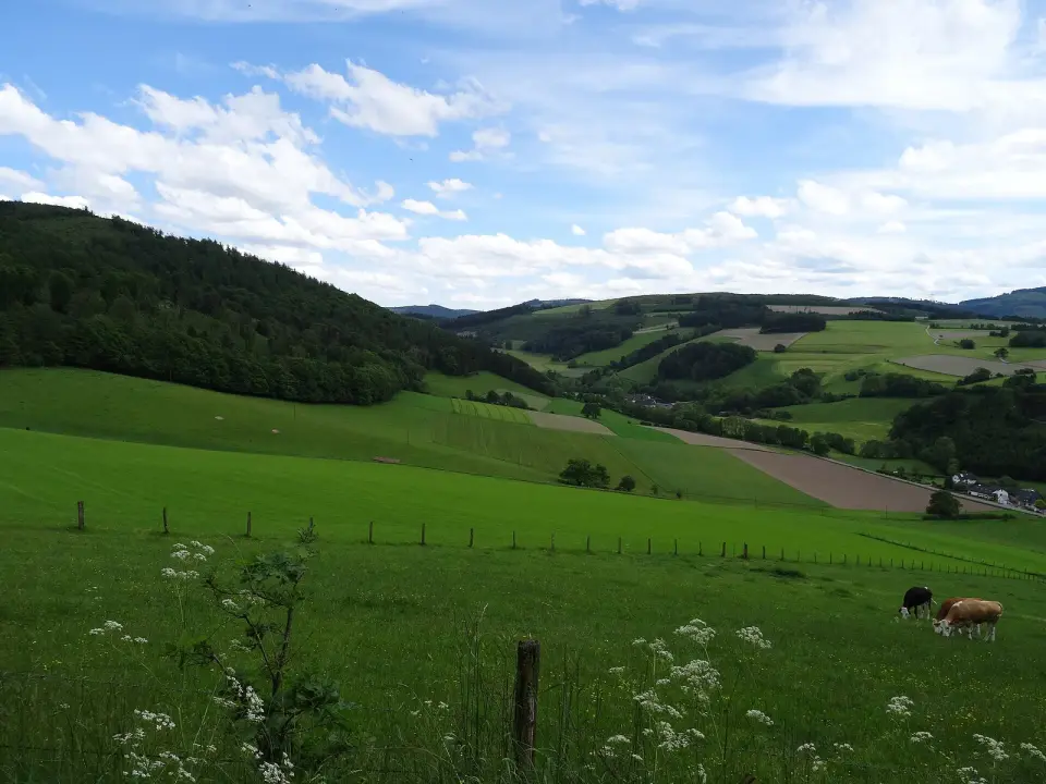 Slika: Friedhelm Dröge · CC BY 3.0 Kleine Henne
