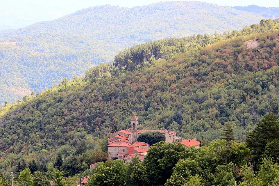 Faltona