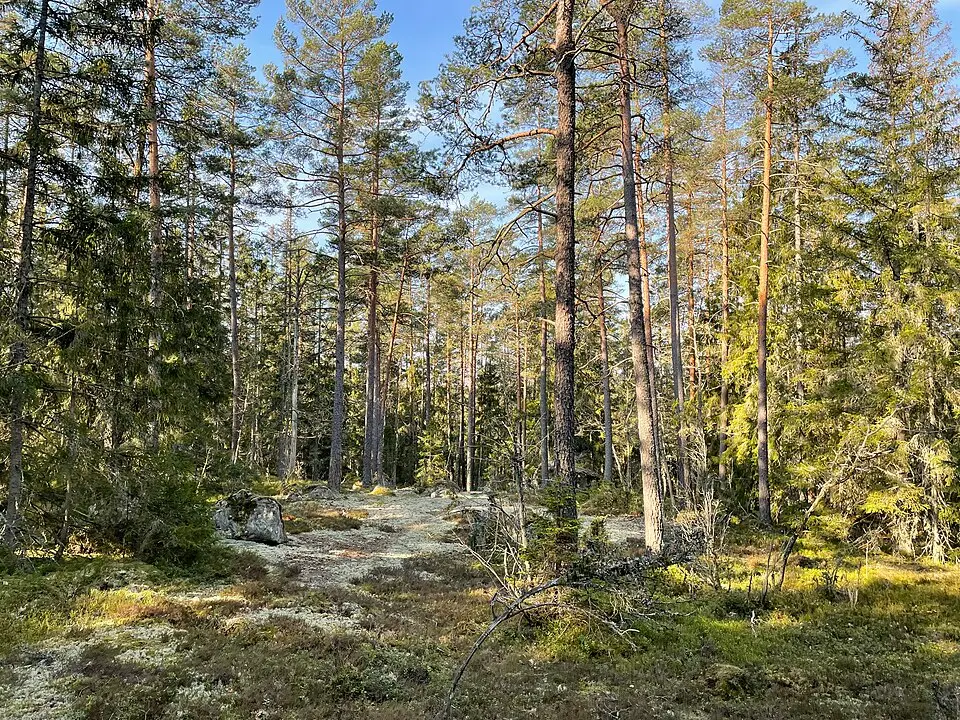 Gröngölsmåla naturreservat