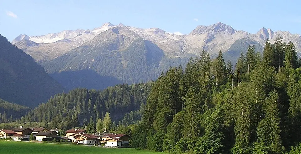 Arbeskopf