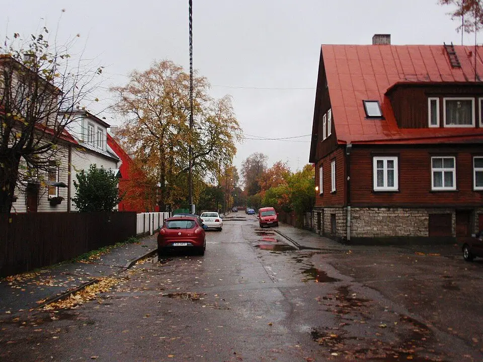 Pelgulinn