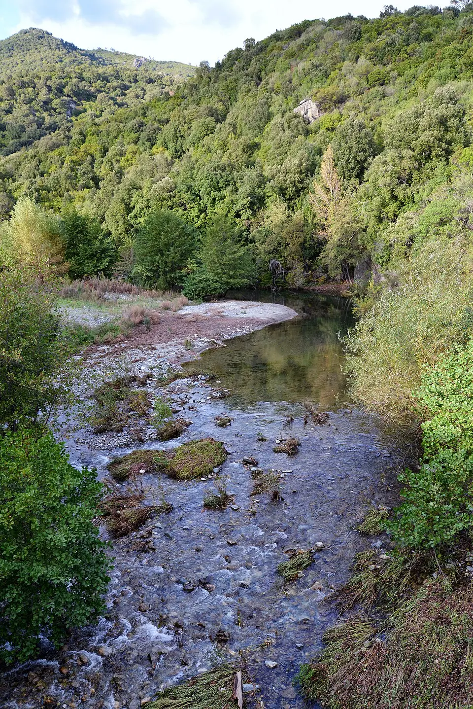 Bravona