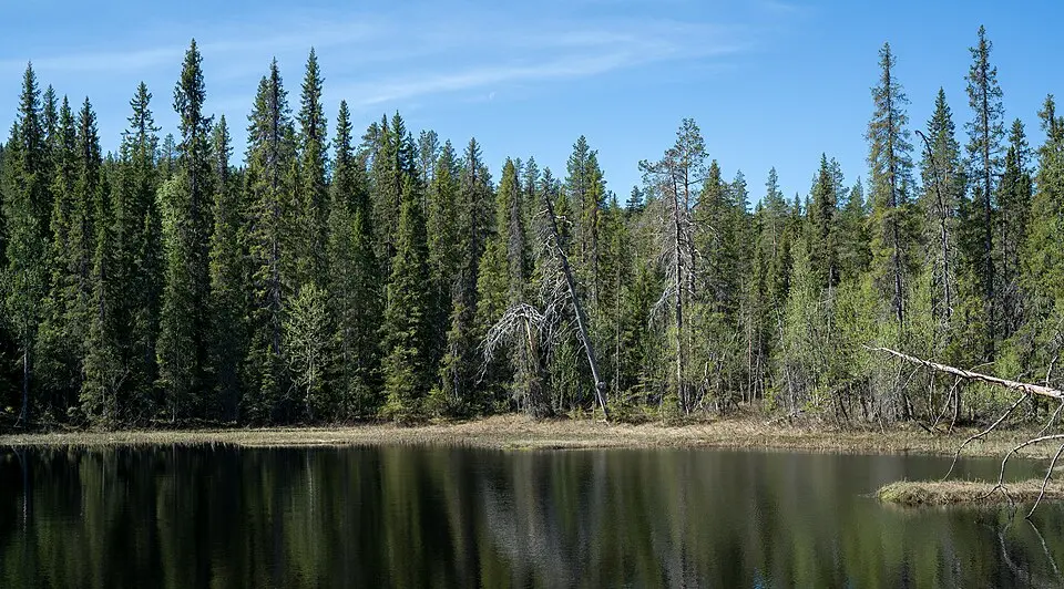 Tallsjöberget