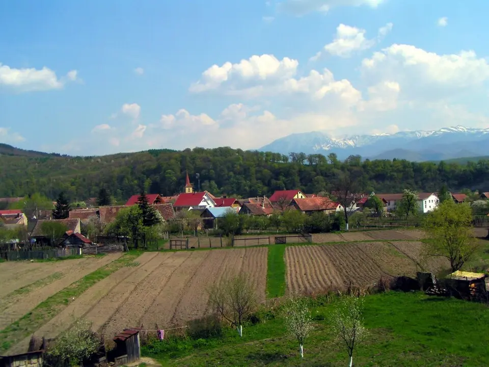 Tălmaciu
