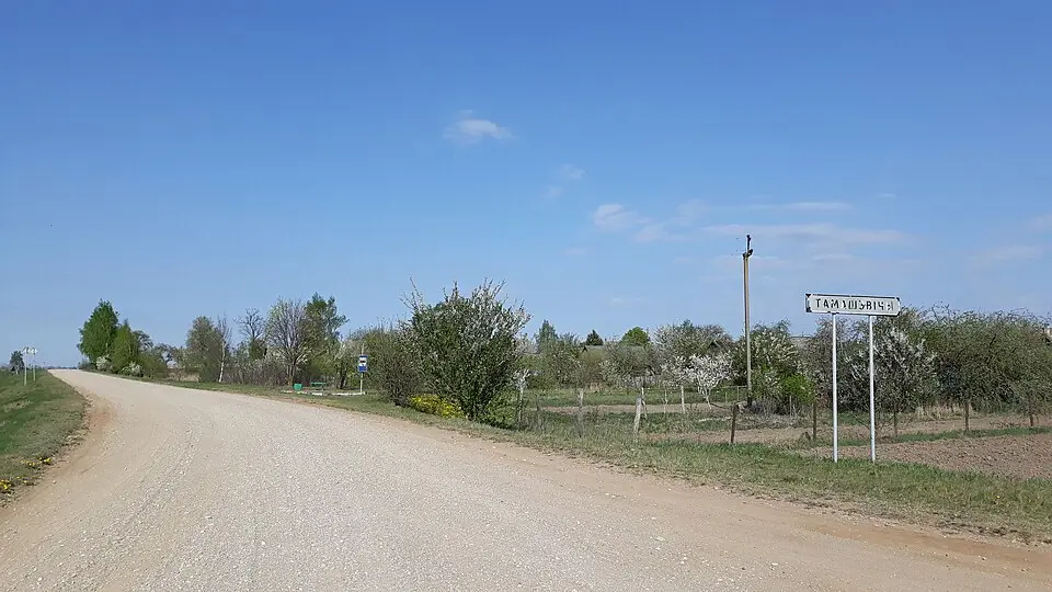 Тамашэвічы