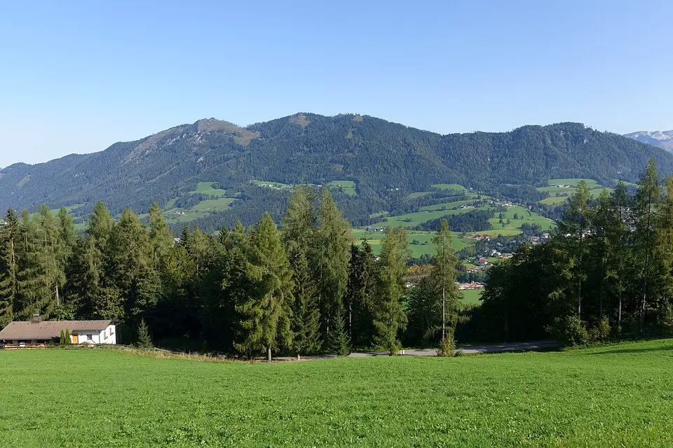 Tamberg