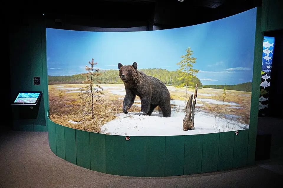 Tampereen luonnontieteellinen museo