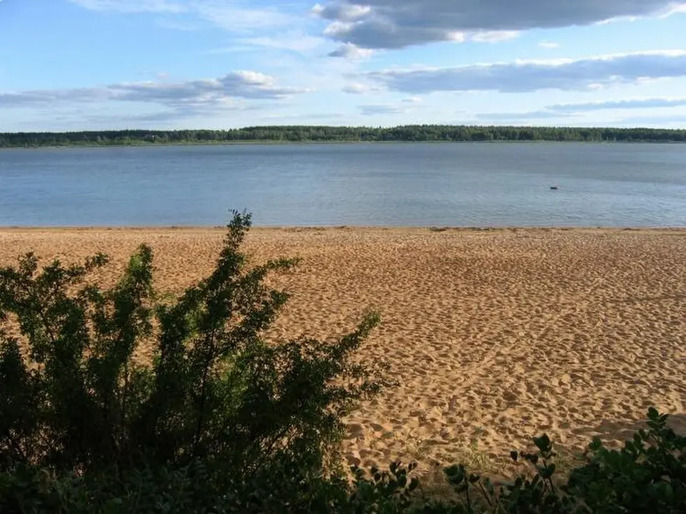 Tamula järv