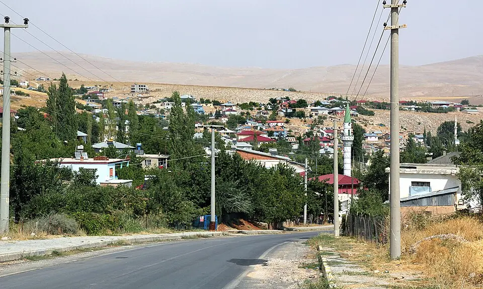 Tanır