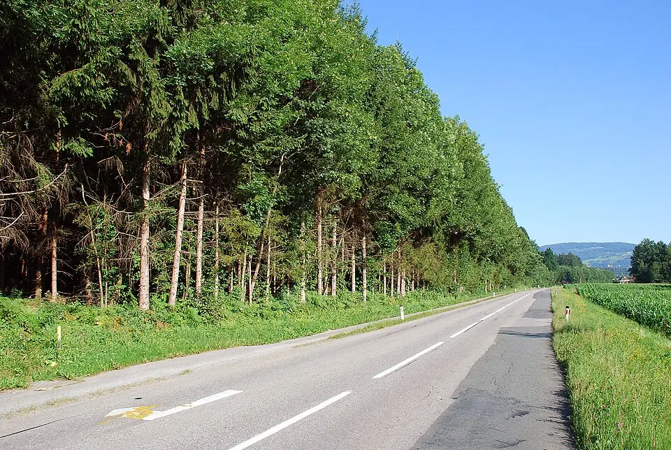 Obrázok: Josef Moser · CC BY-SA 3.0 Grabhügel Höchkiegerl