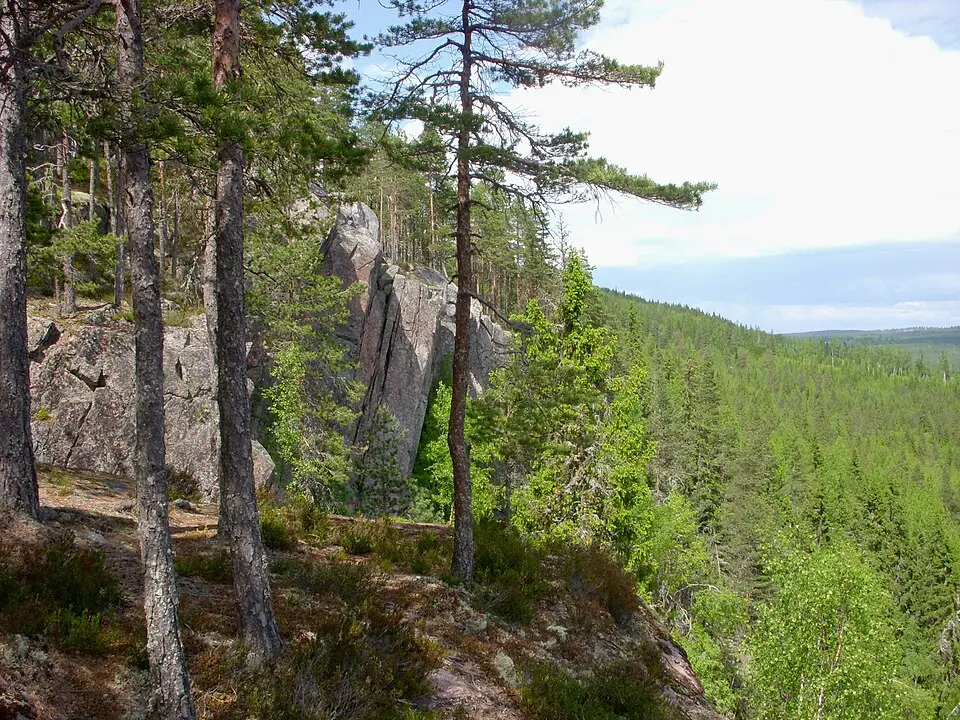 Tansvägga