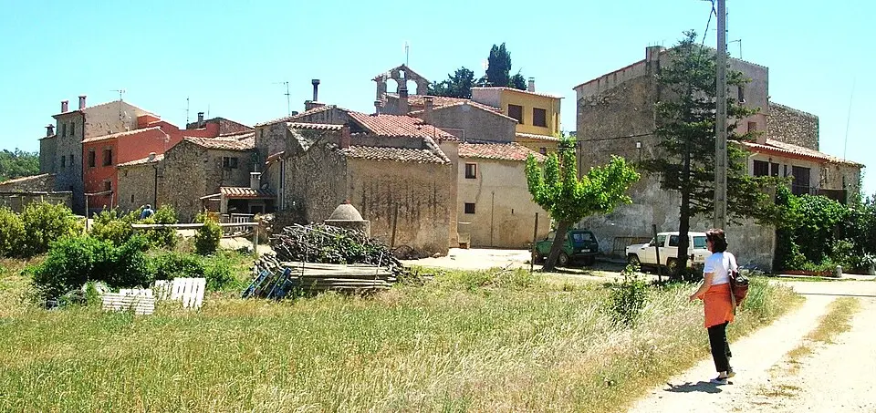 Tapis