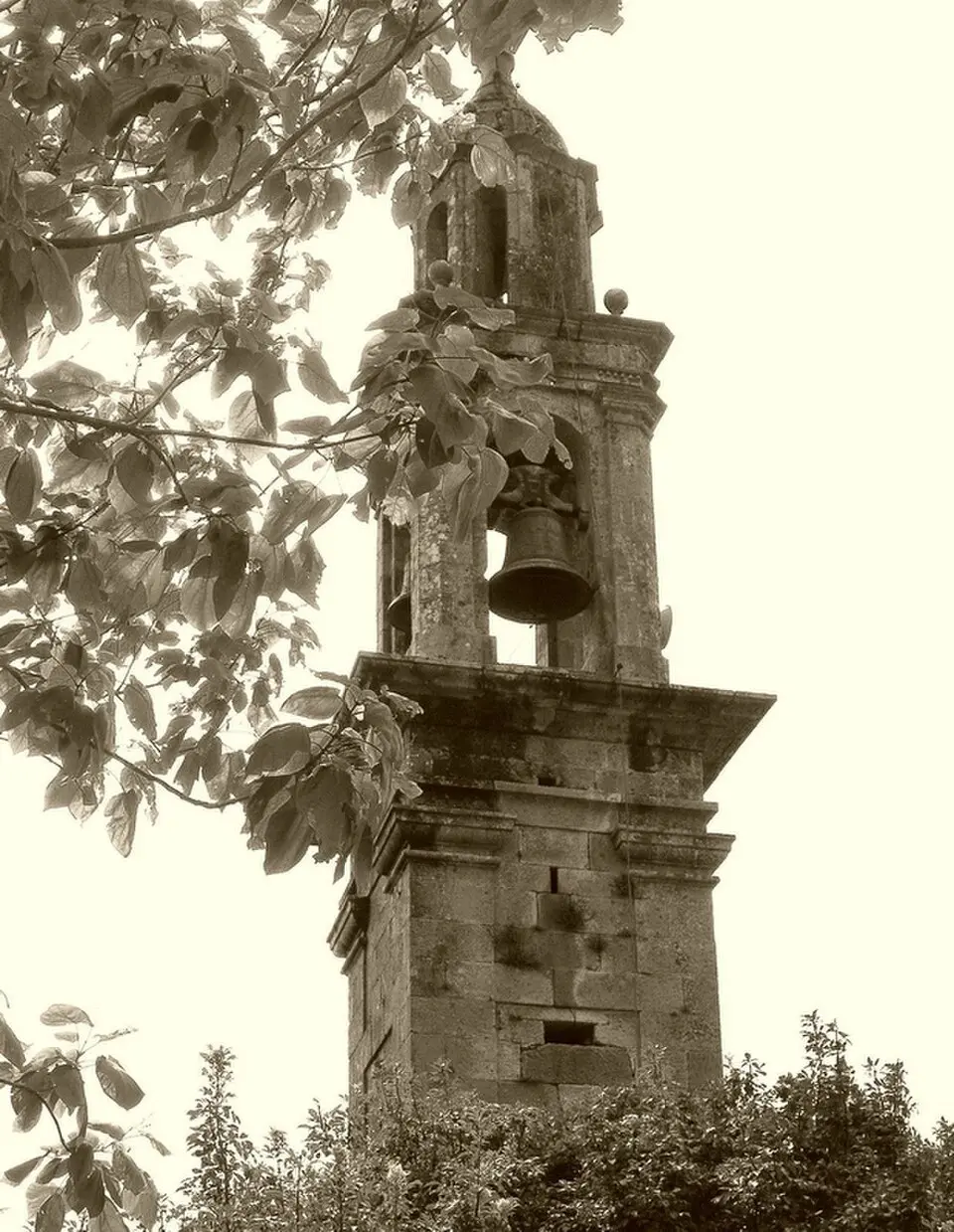 Taragoña