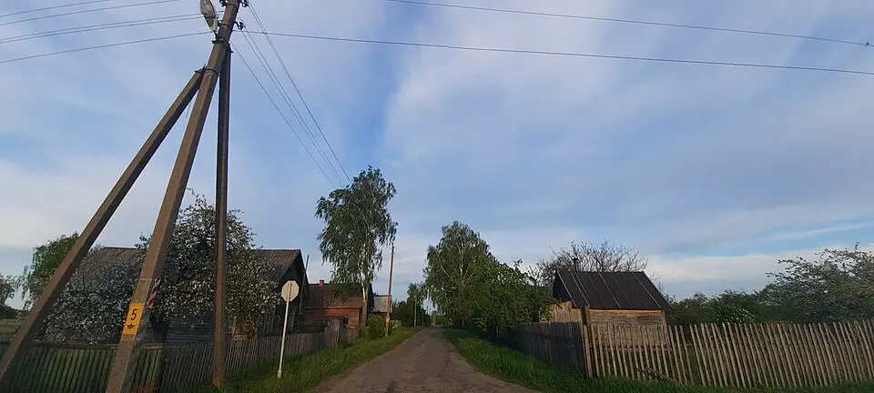 Тарканы
