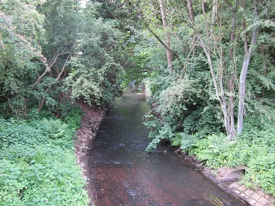 Tarpenbek