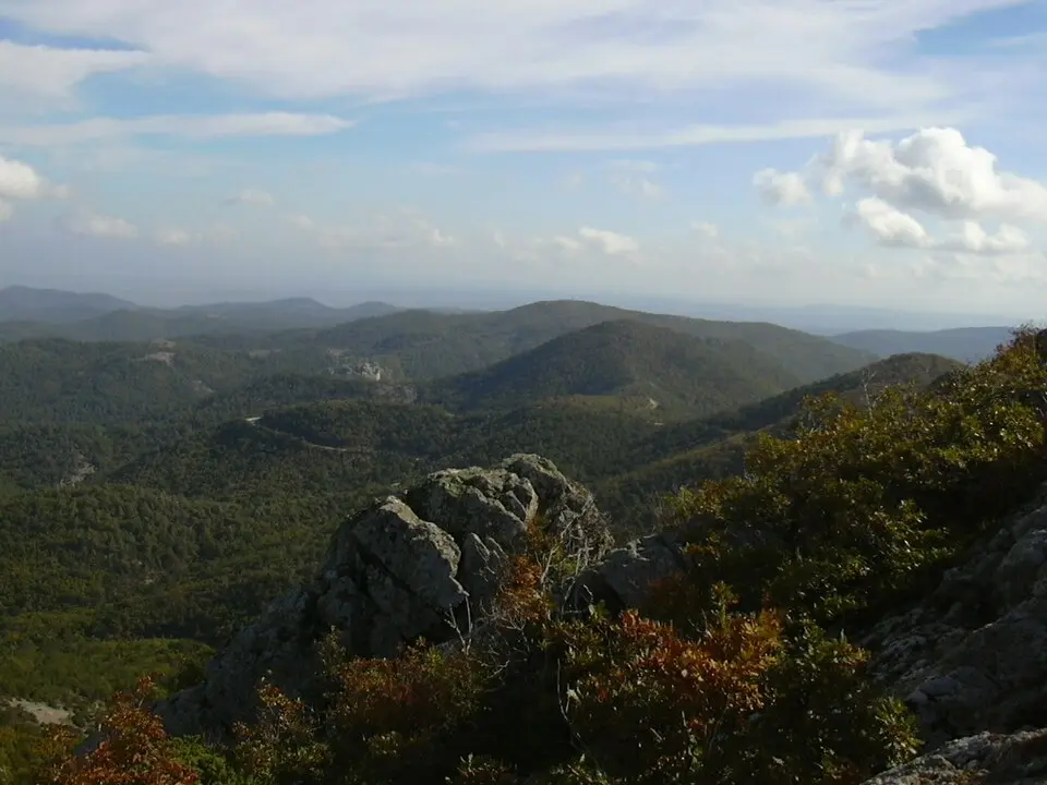 Dadia-Lefkimi-Soufli Forest National Park