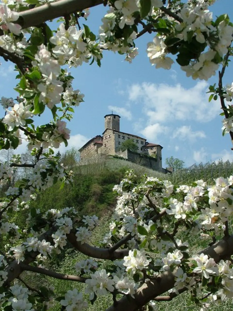 Castel Valer