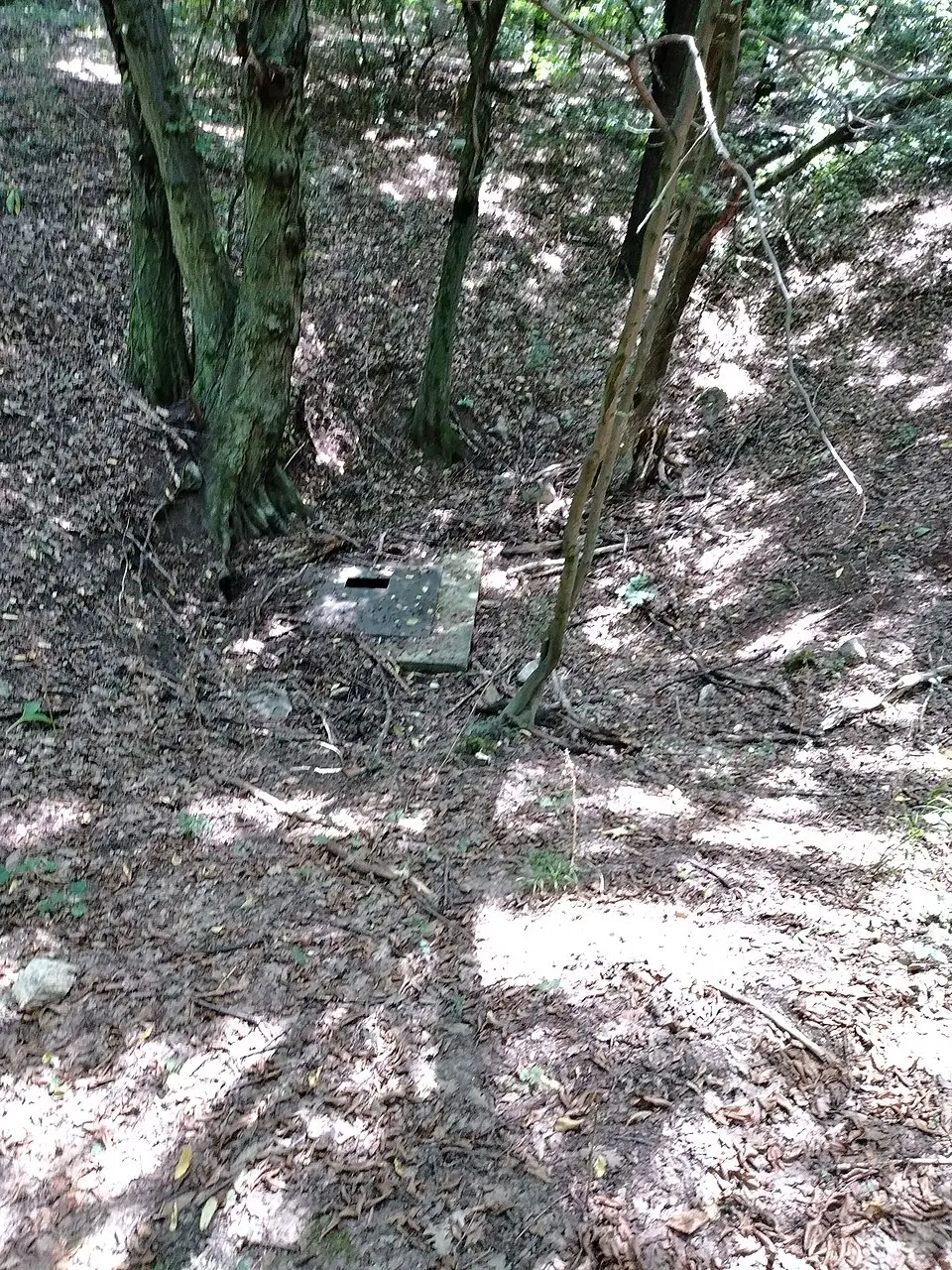 Tatabányai Bányász Cave