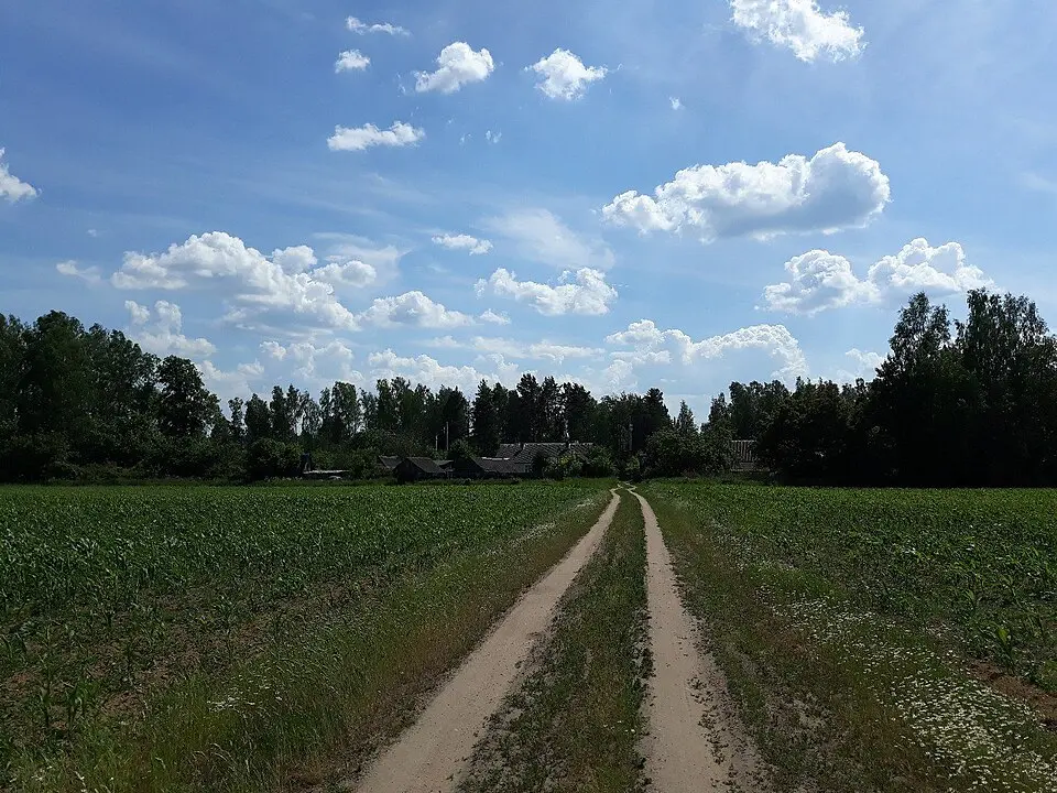 Tatarščyna