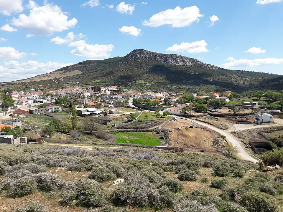 Tavaklı