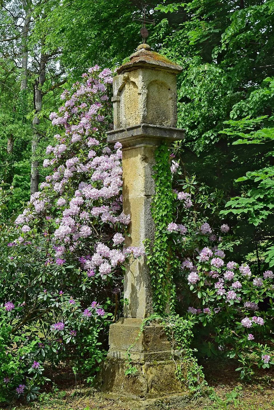Bildstock