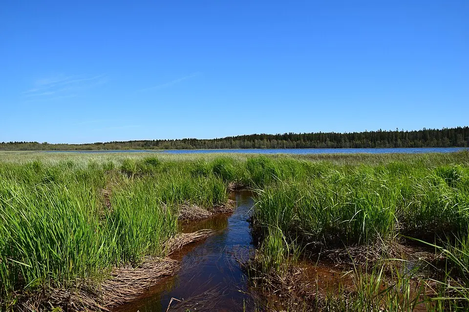 Tavlefjärden
