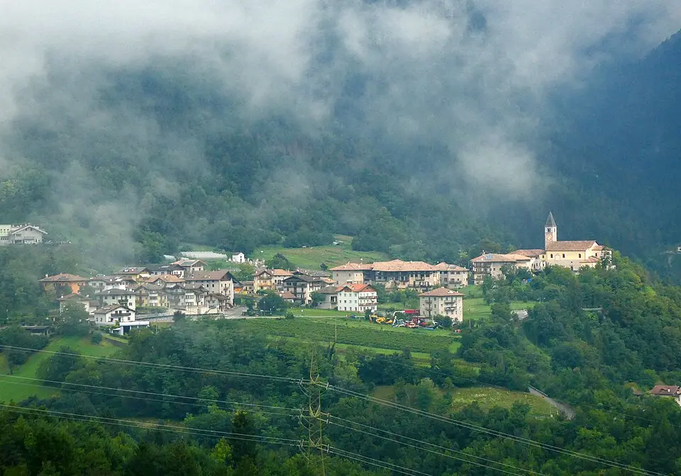 Tavodo