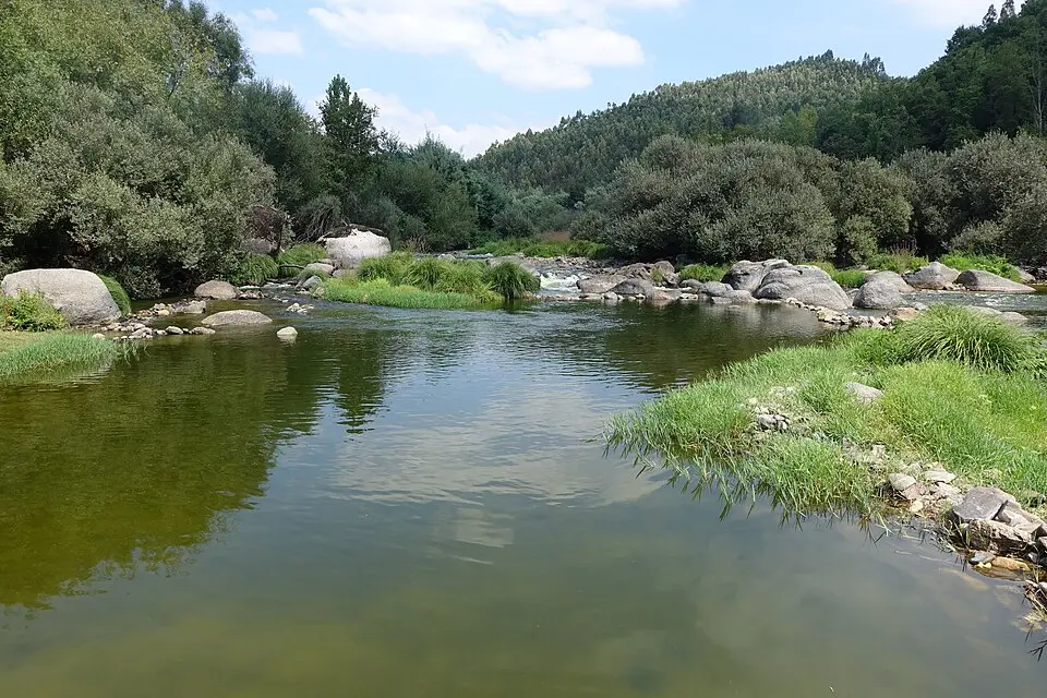 Tâmega River
